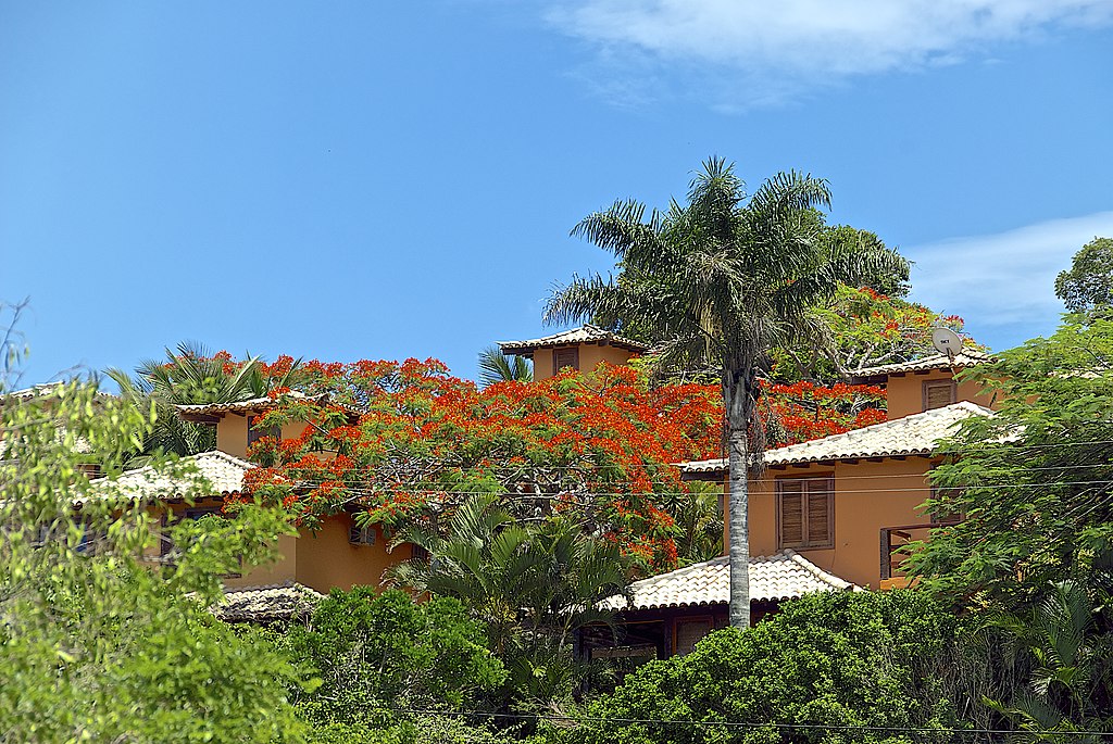 Hotel a Praia da Armação