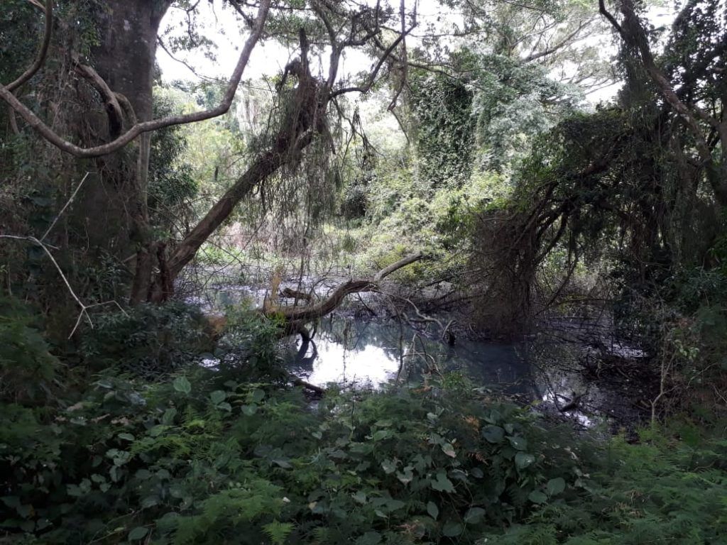Casas de Férias Torres
