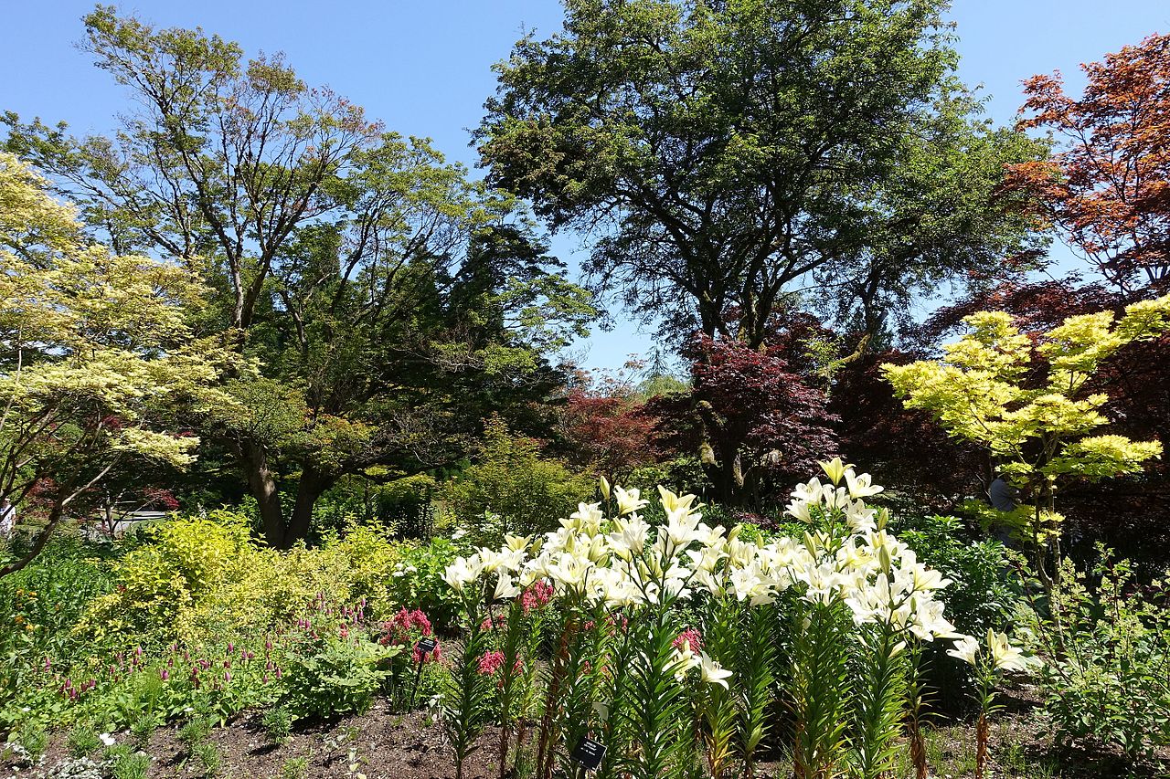 Ferienwohnungen Van Dusen Botanical Garden