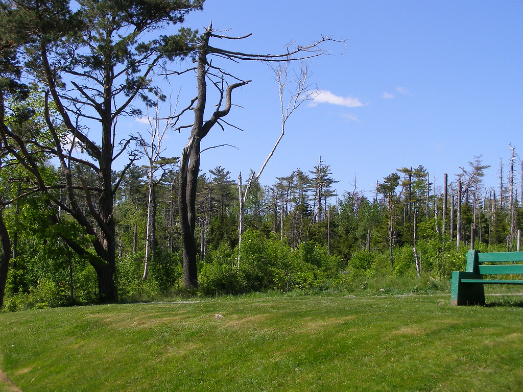 Hotels in Point Pleasant Park