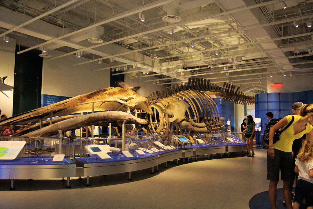 Holiday rentals Museum of Nature