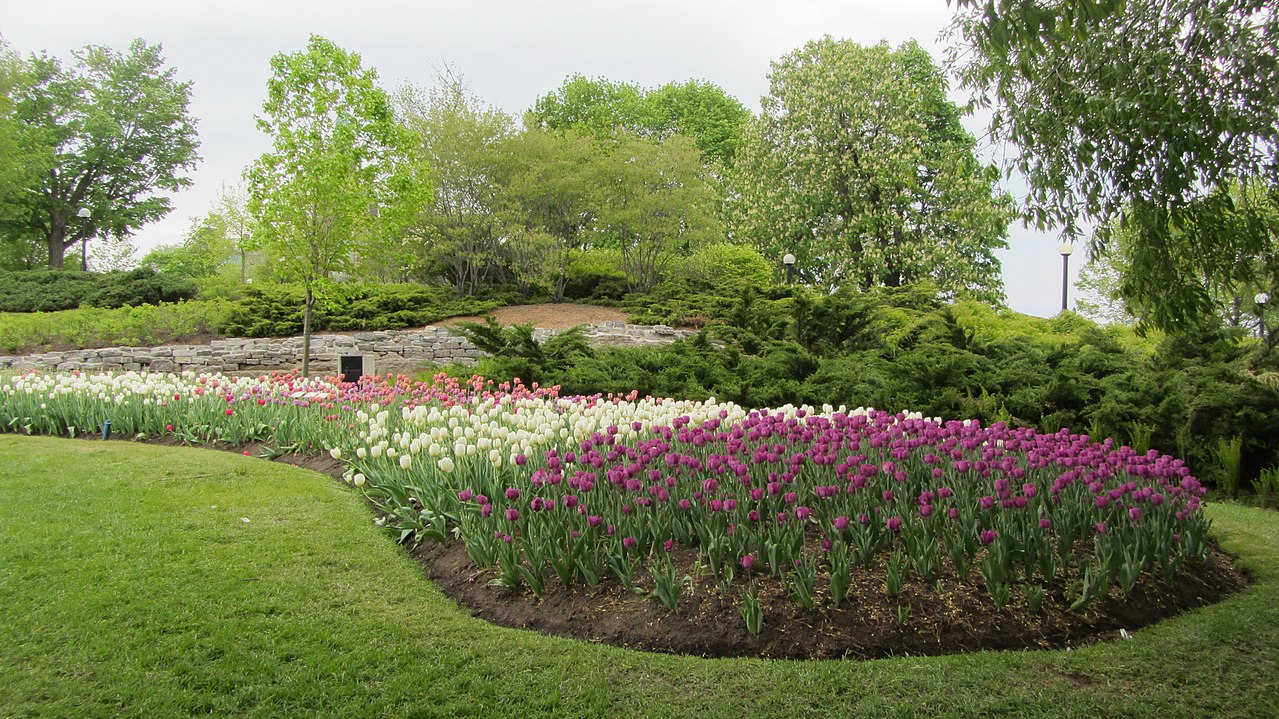Holiday rentals Major's Hill Park