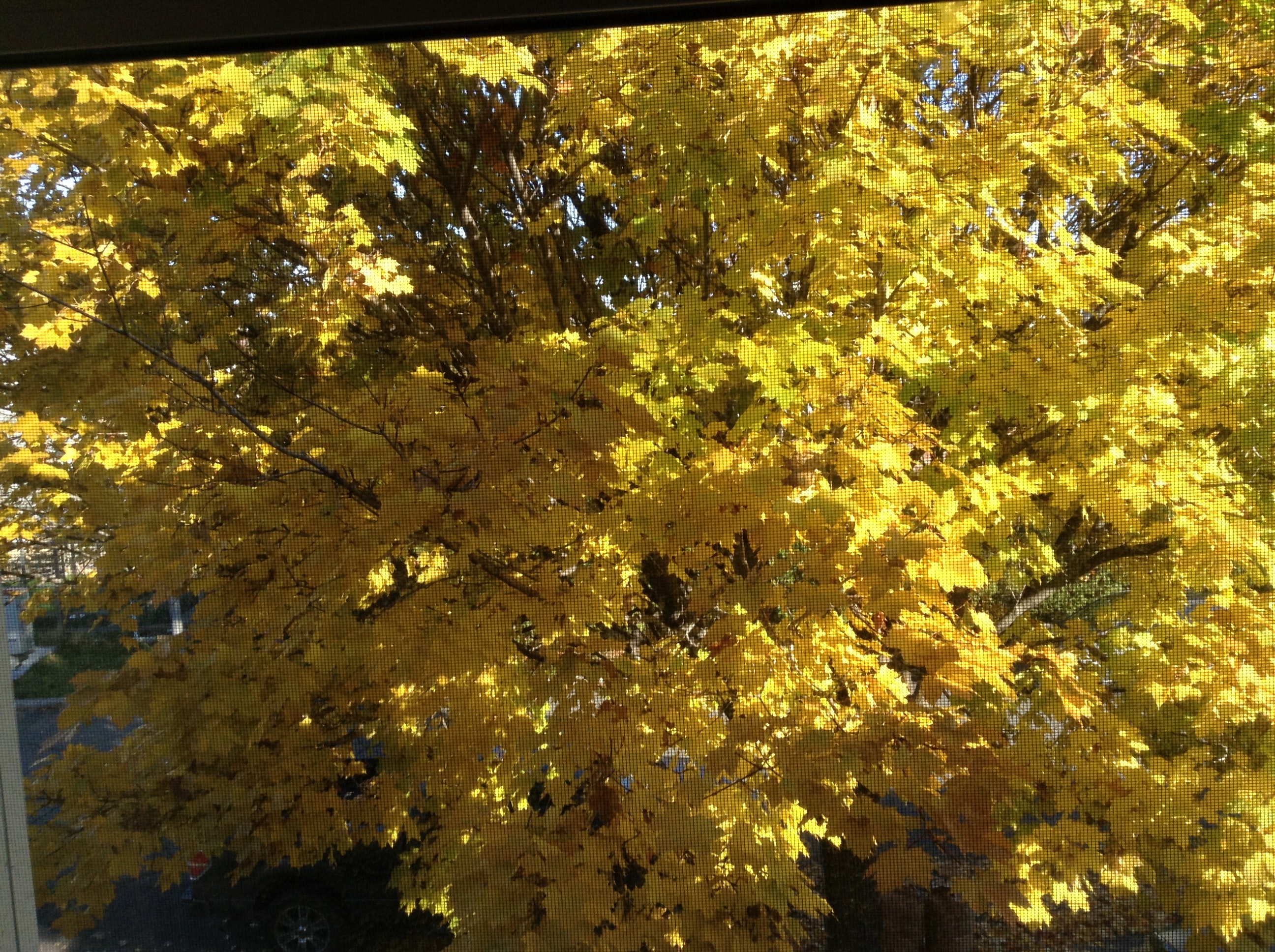 Holiday rentals Brossard