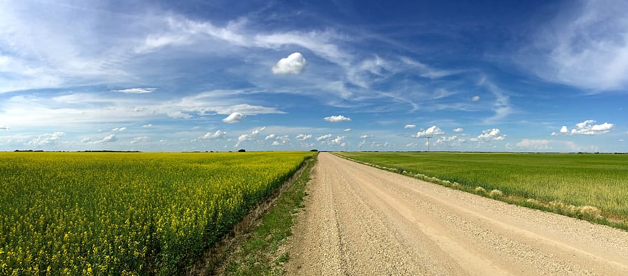 Hotels in Watrous