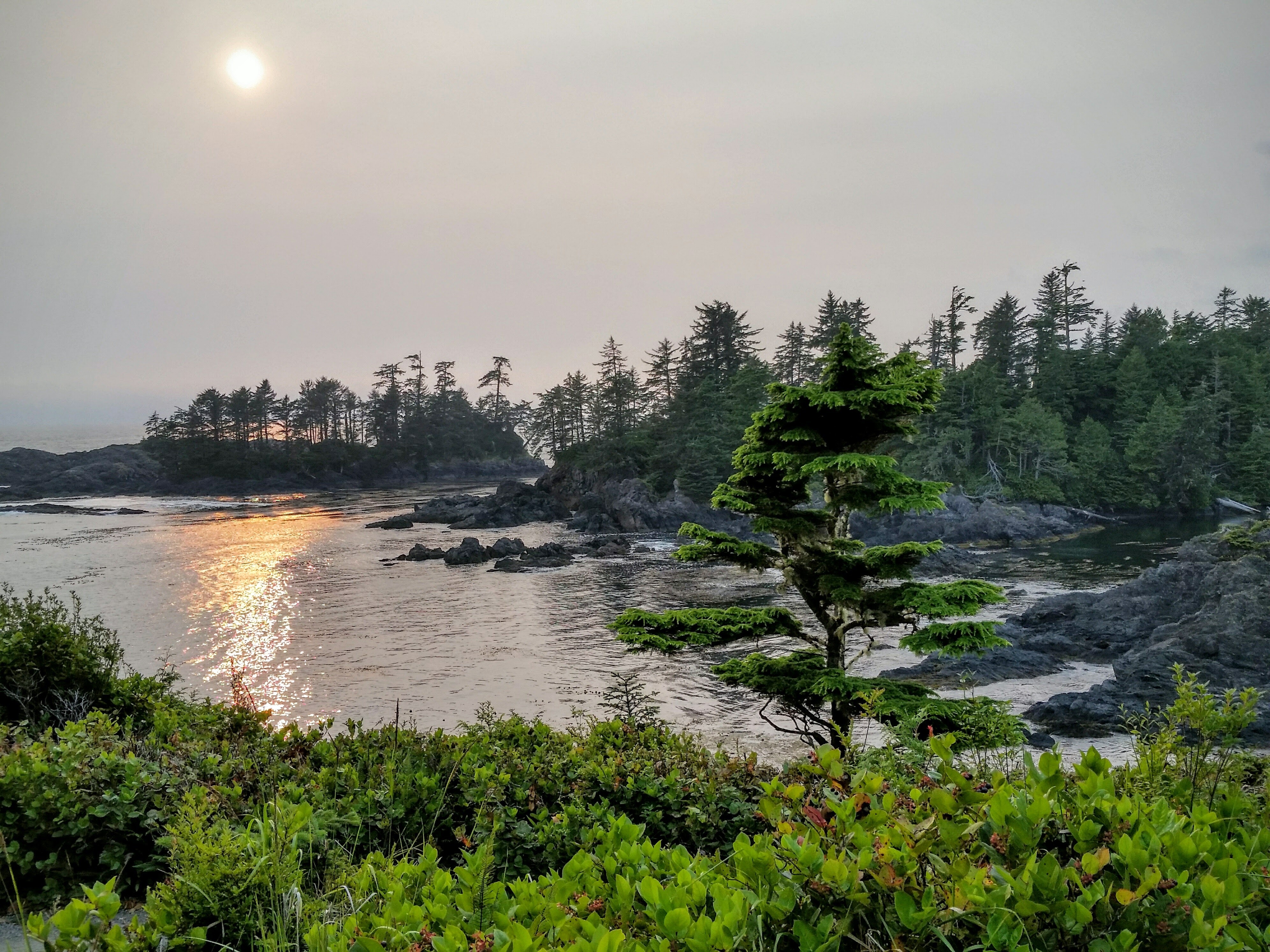 Holiday rentals Shawnigan Lake