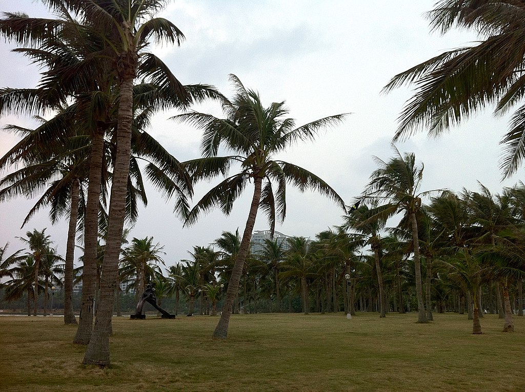 Hotels in Zhanjiang