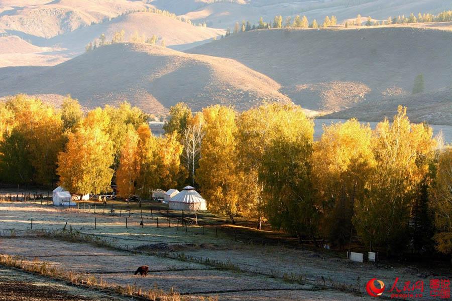 Holiday rentals Altay