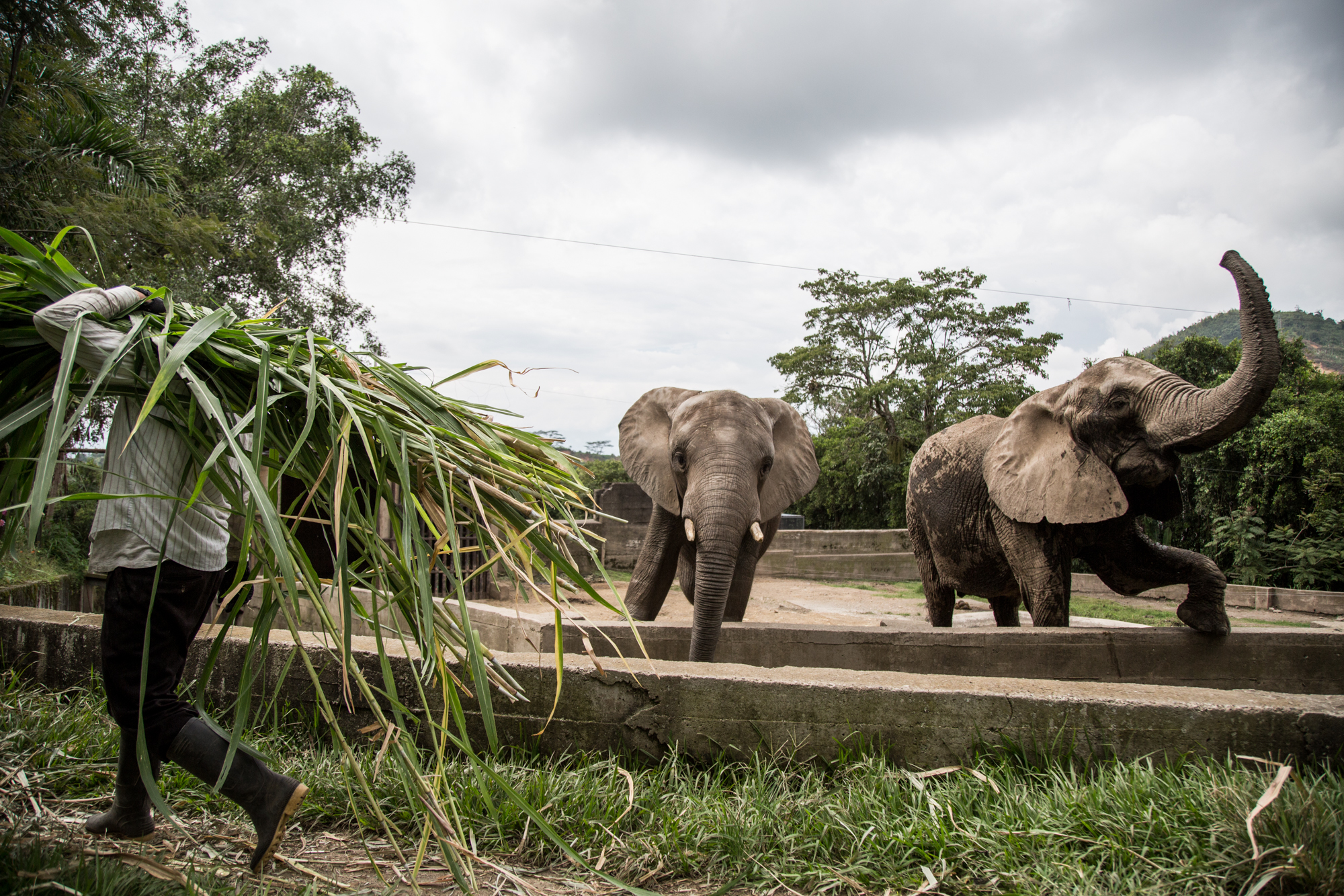 Case Vacanze Parque Ukumari