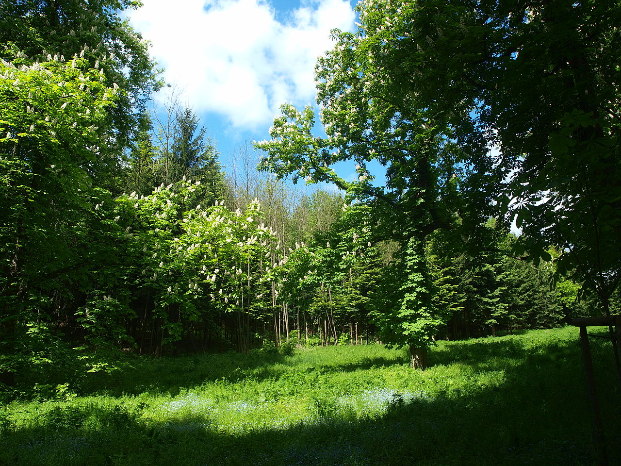 Hotels in Lysice