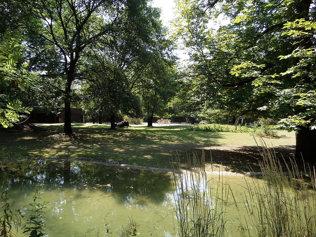 Ferienwohnungen Untergiesing - Harlaching