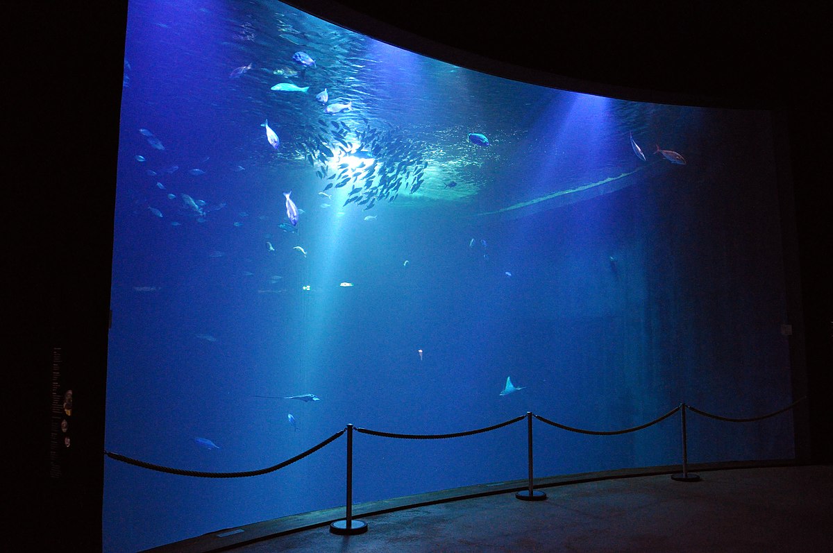 Ferienwohnungen Ozeanum Stralsund