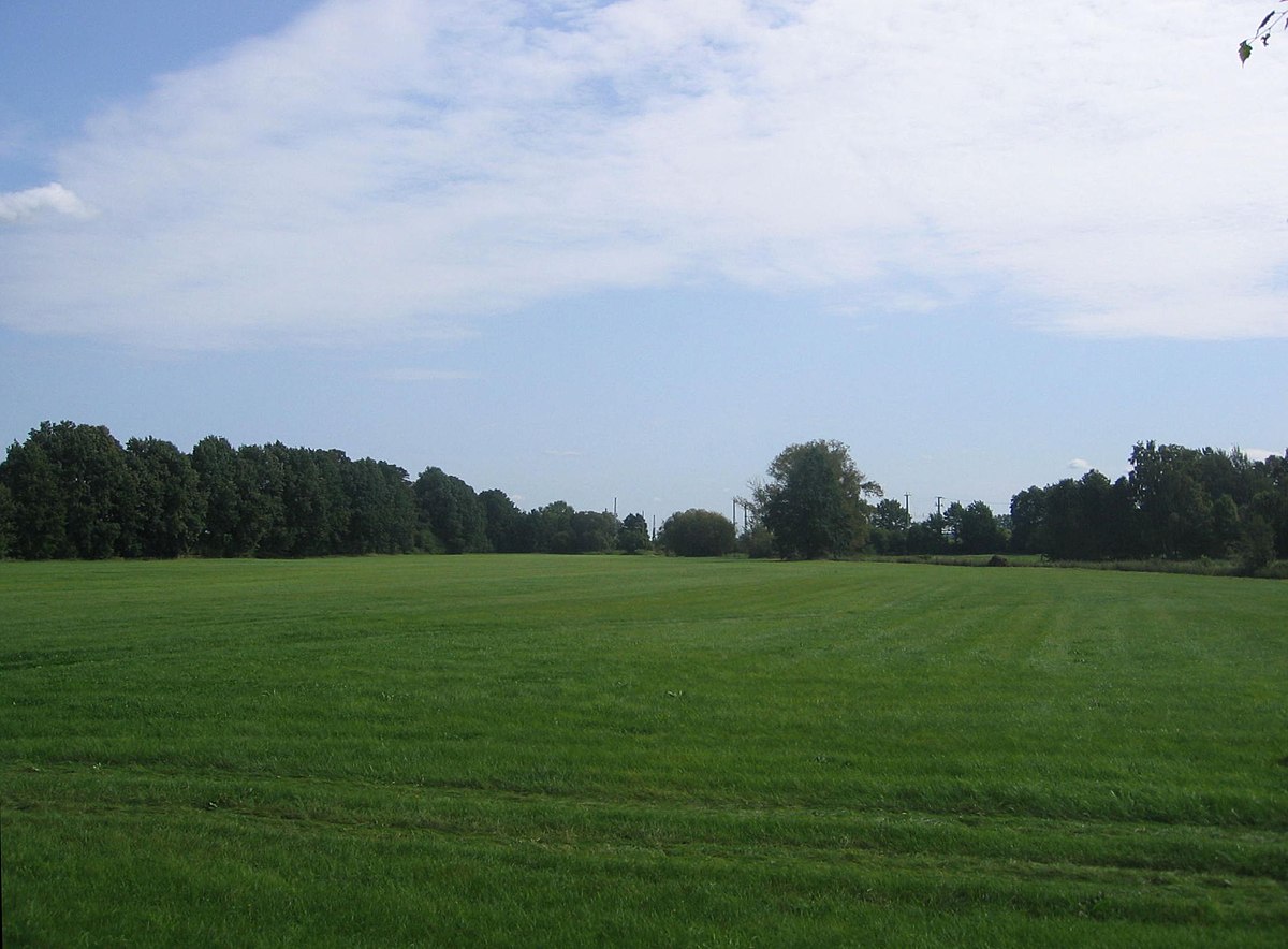 Holiday rentals Elsteraue