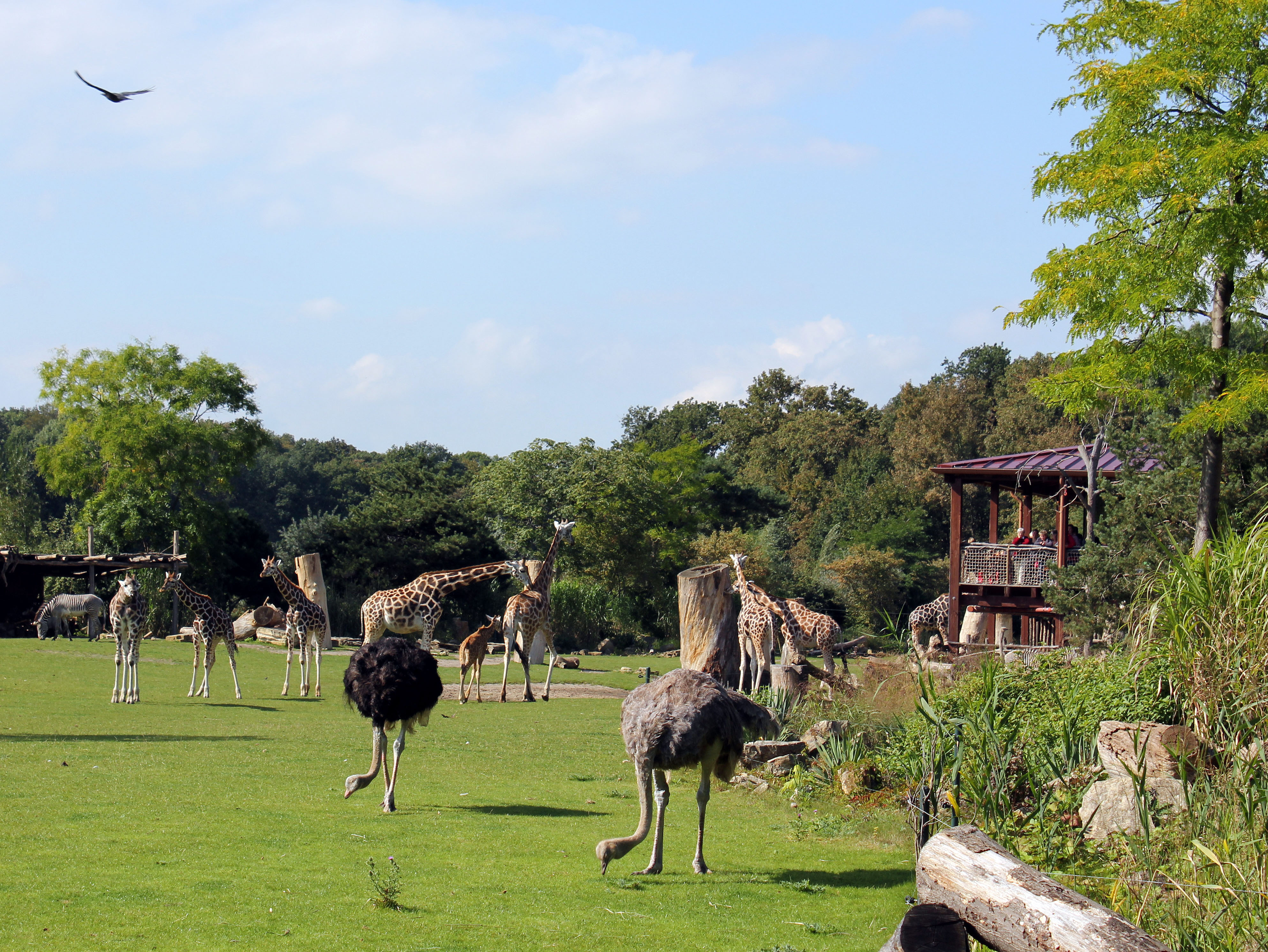 Hotel a Zoo di Lipsia
