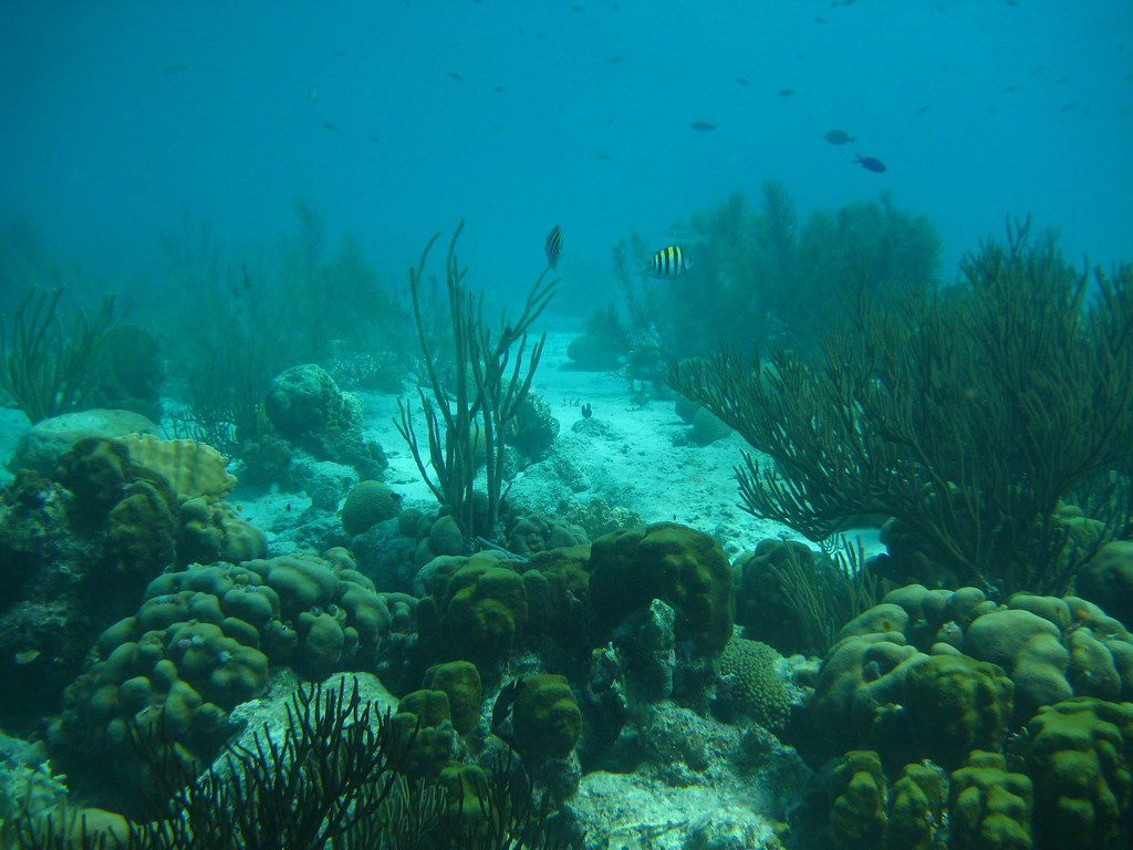 Casas rurales y b&b baratos en {{destination}}