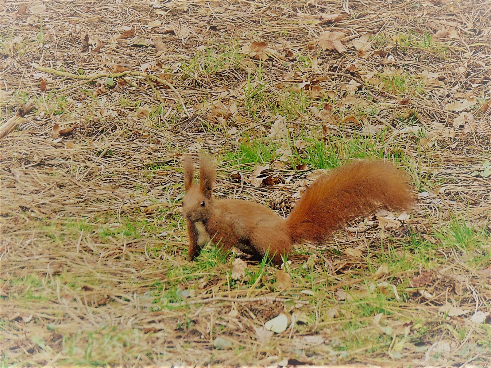 Case Vacanze Kaskada Park