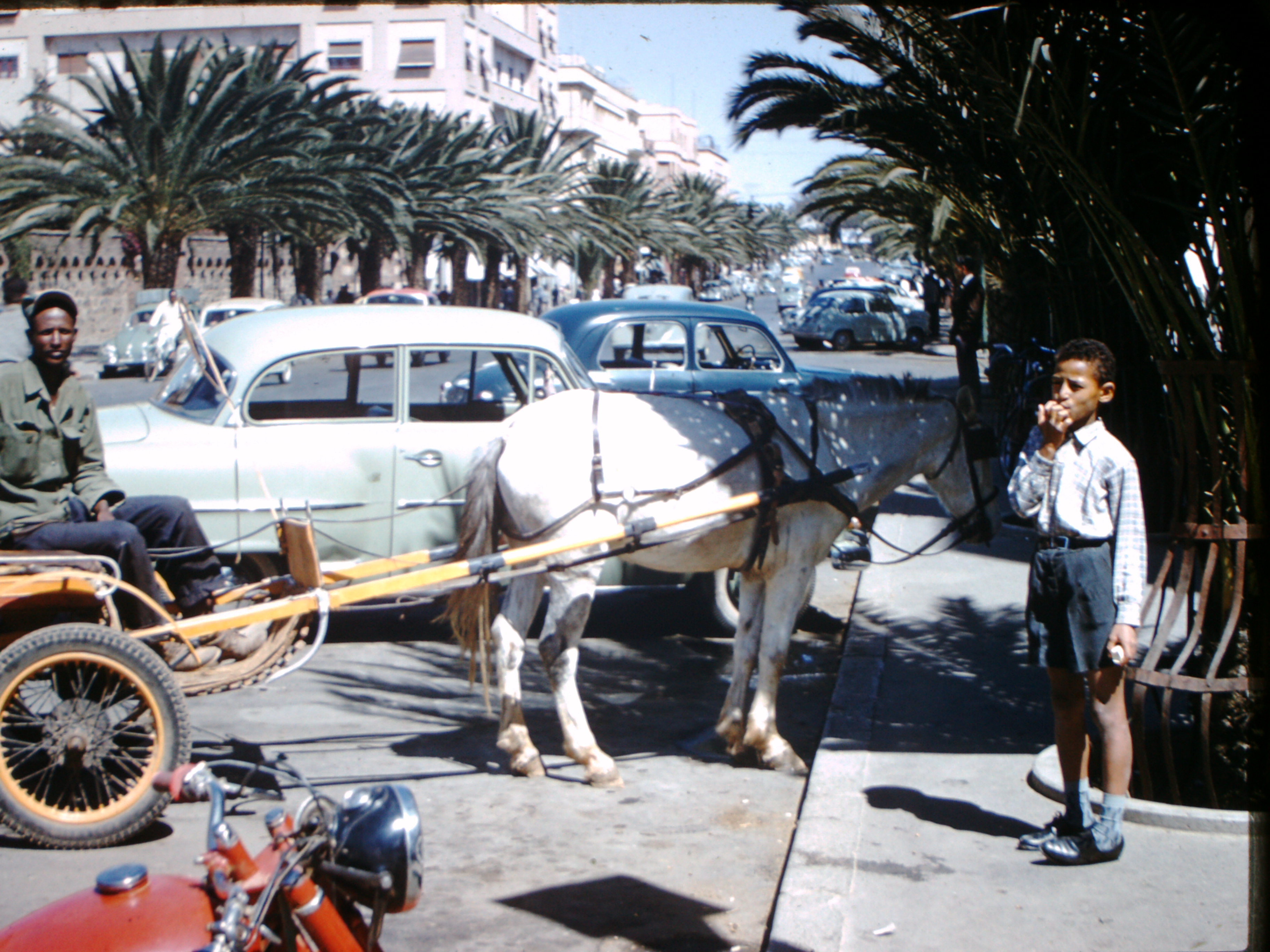 Case Vacanze Asmara