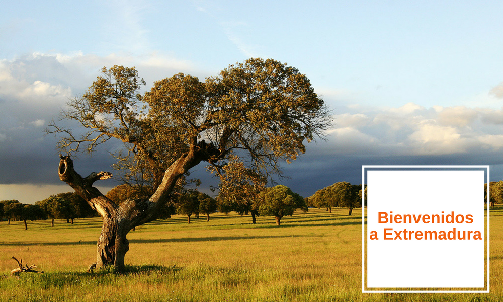 Holiday rentals Extremadura