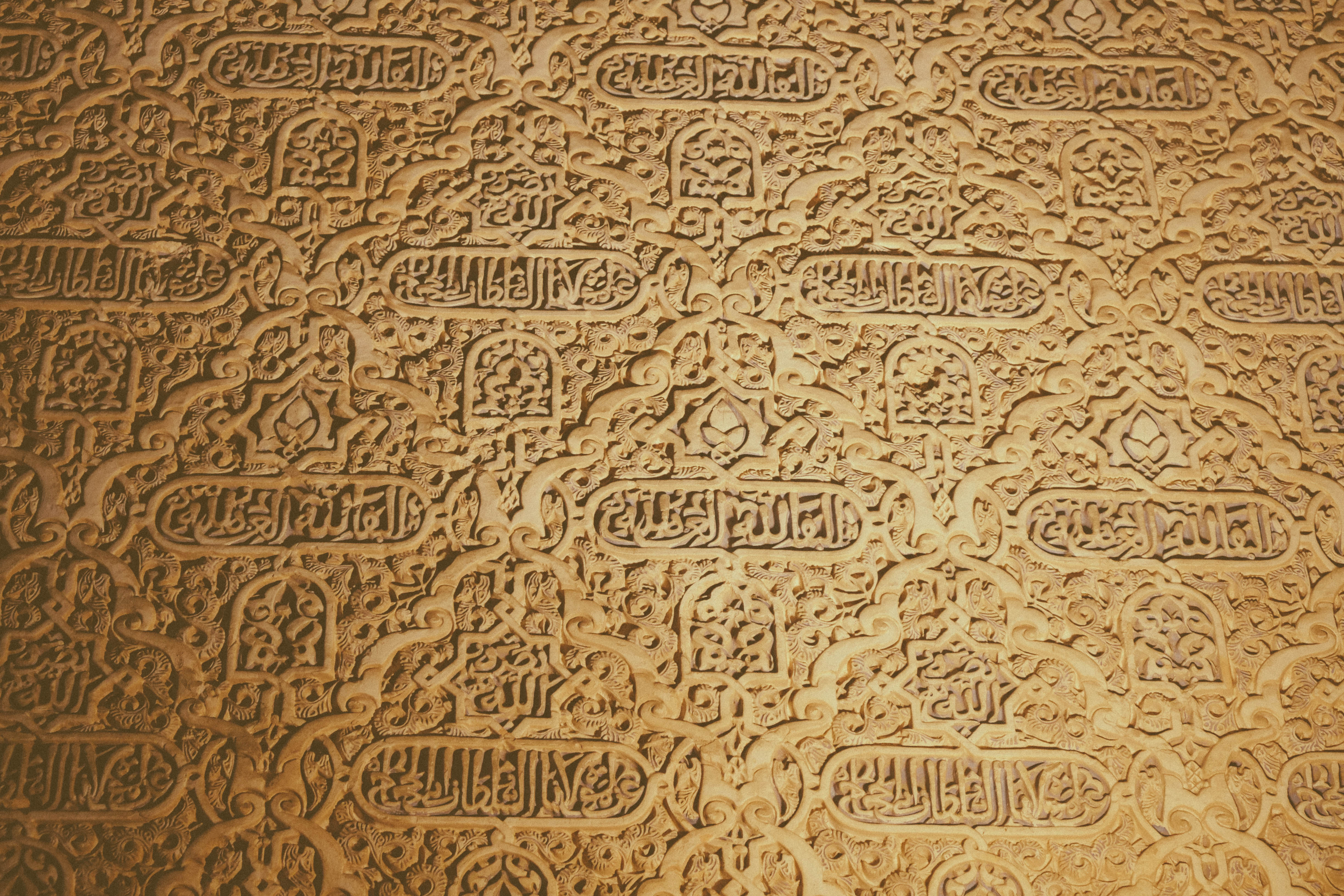 Agriturismi a La Corte