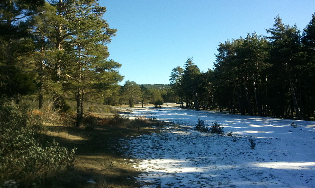 Hotels in Bronchales