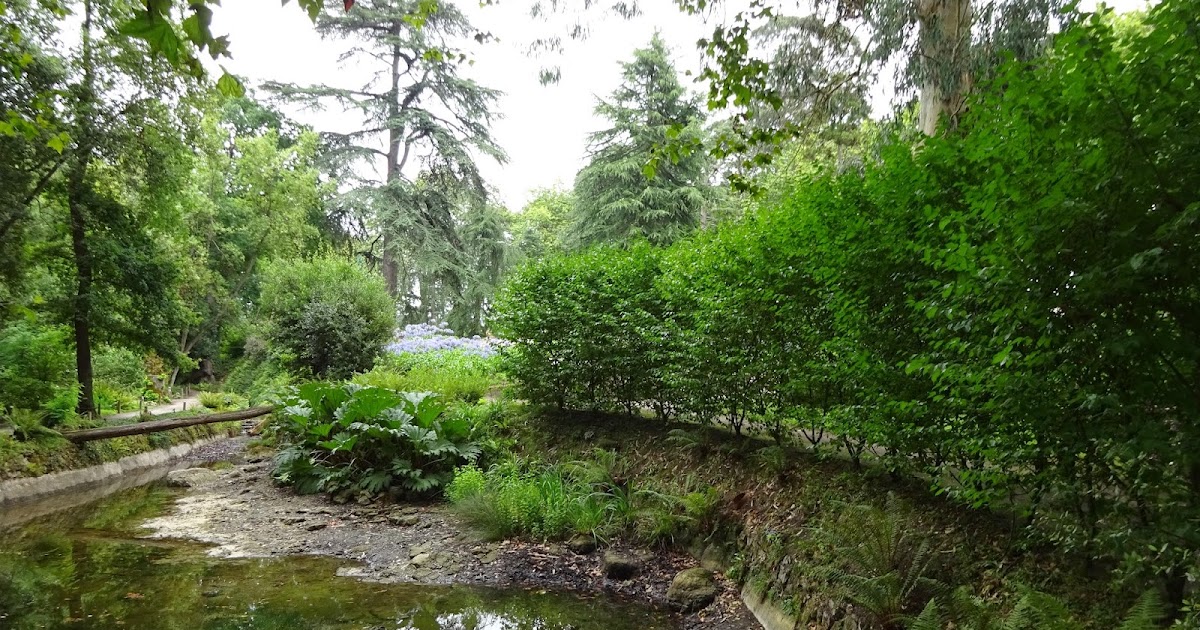 Case Vacanze Los Fresnos