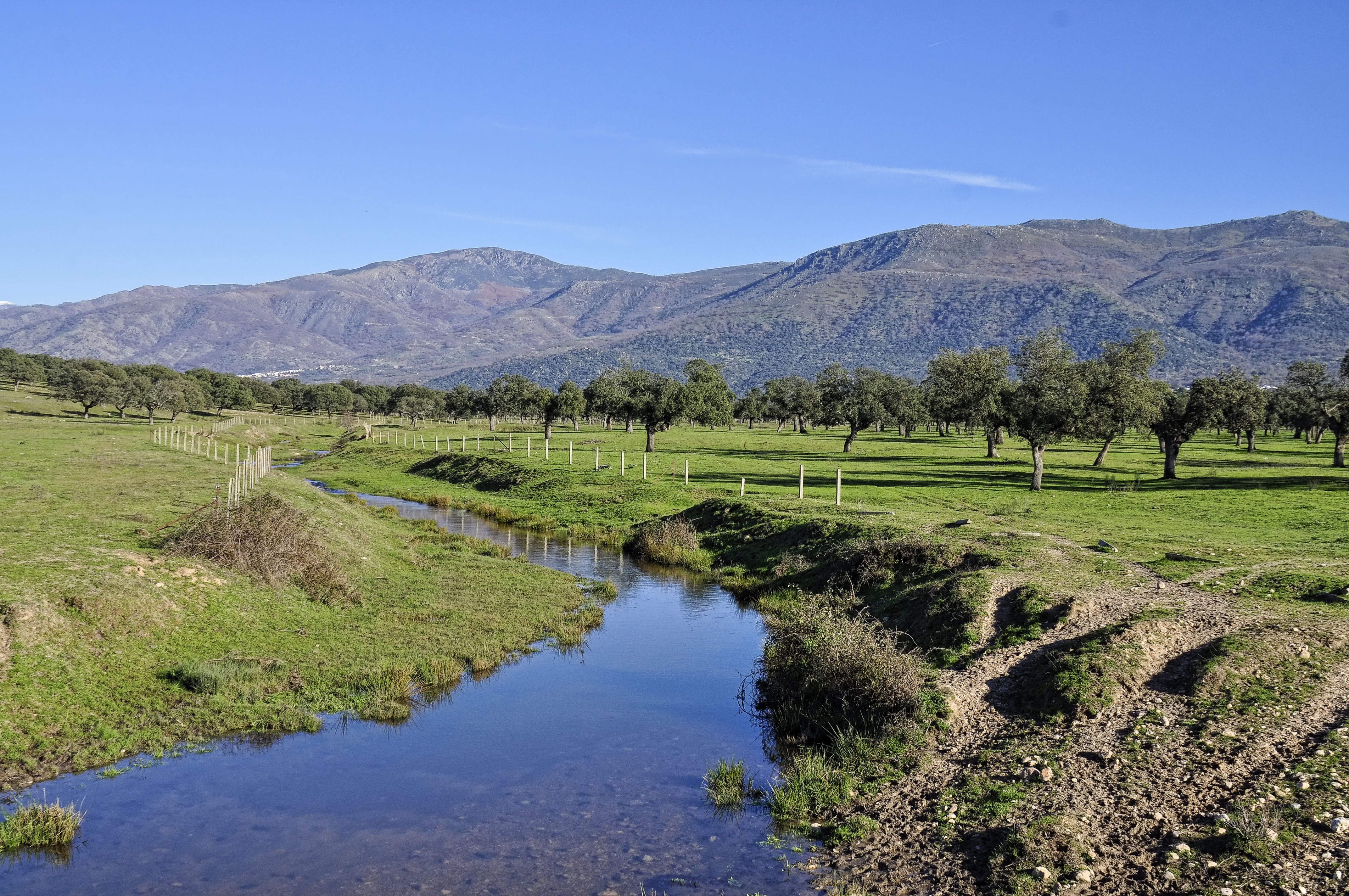 Hotels in Villanueva de la Serena