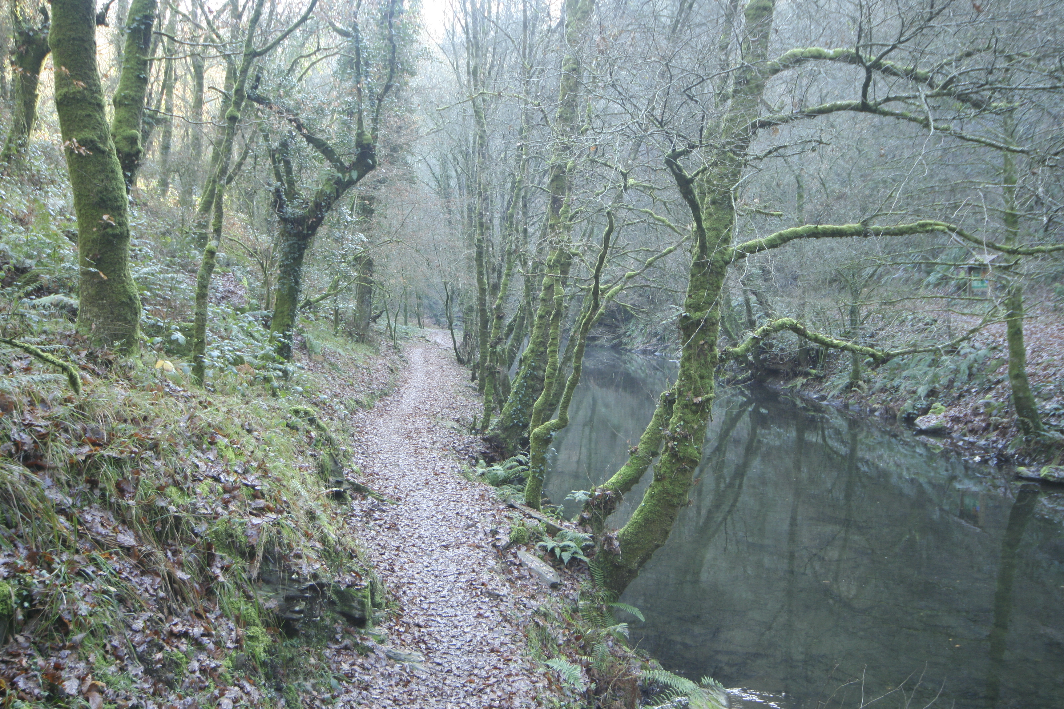 Holiday rentals Sarria