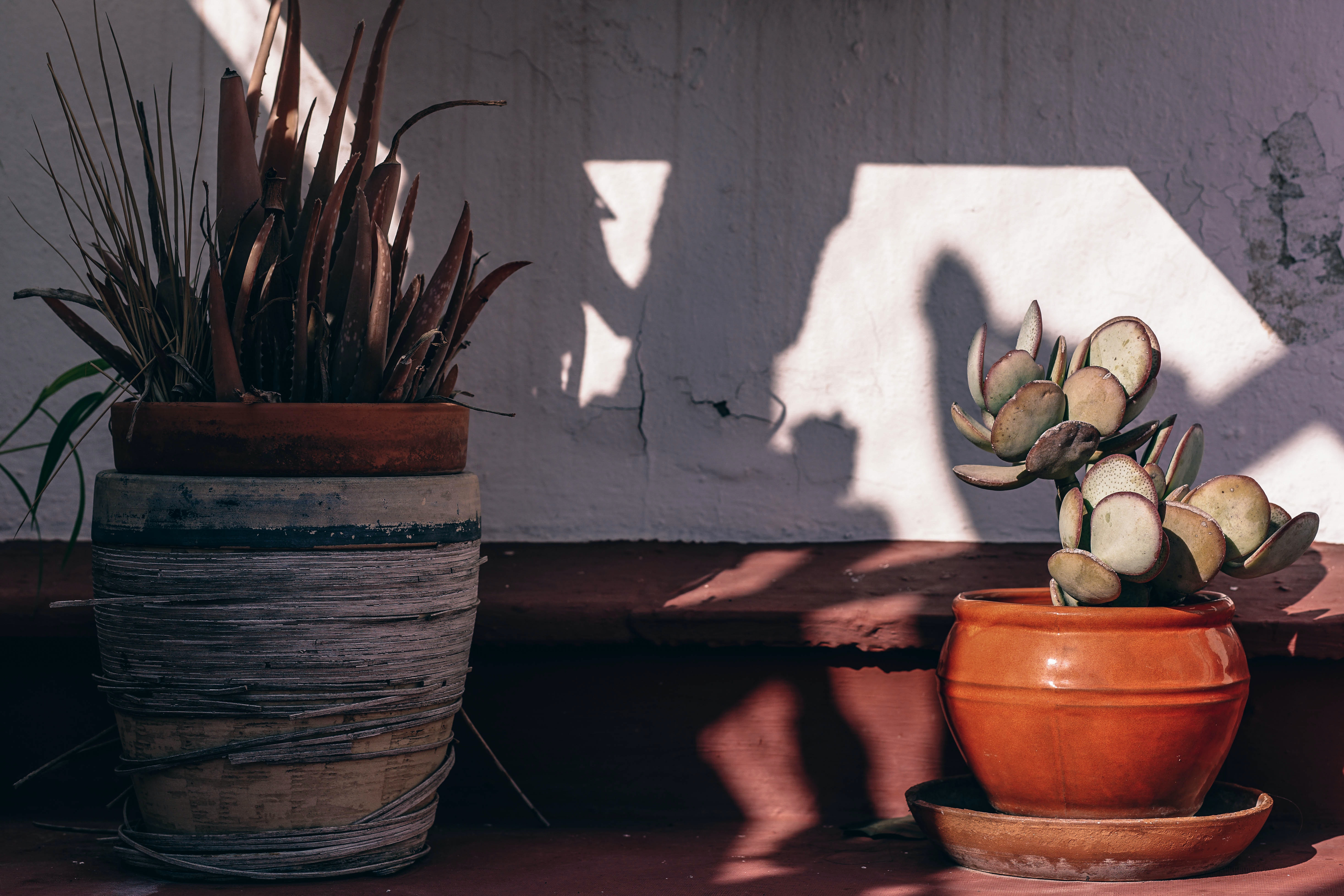 Casas rurales y b&b baratos en {{destination}}