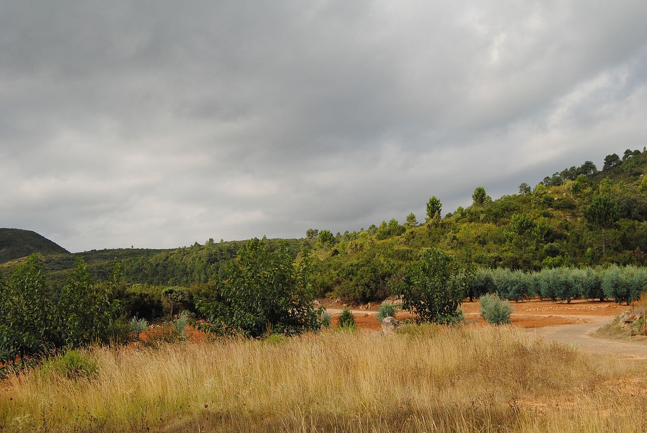 Holiday rentals Oliva