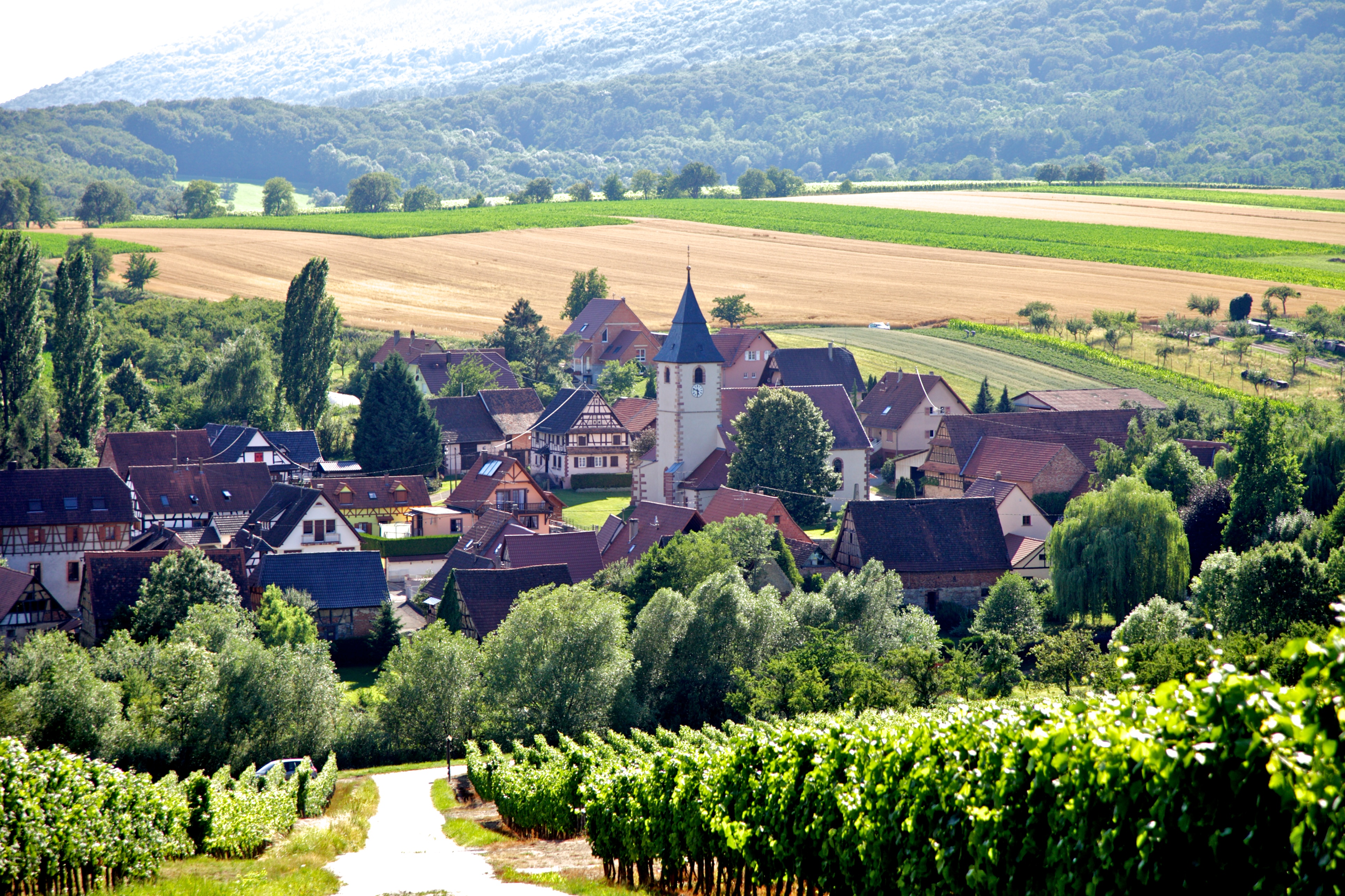 Ferienwohnungen Cleebourg