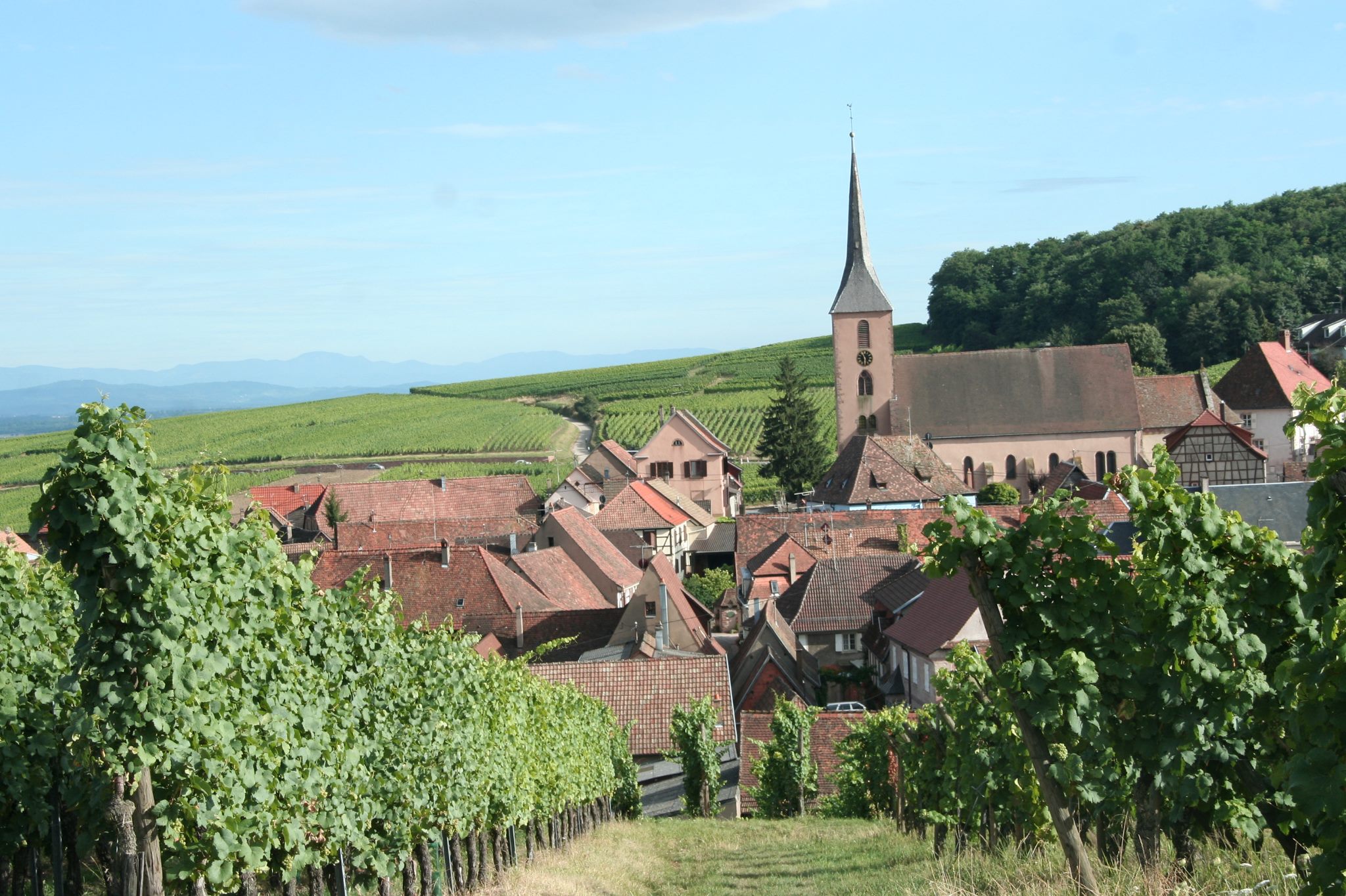 Ferienwohnungen Blienschwiller