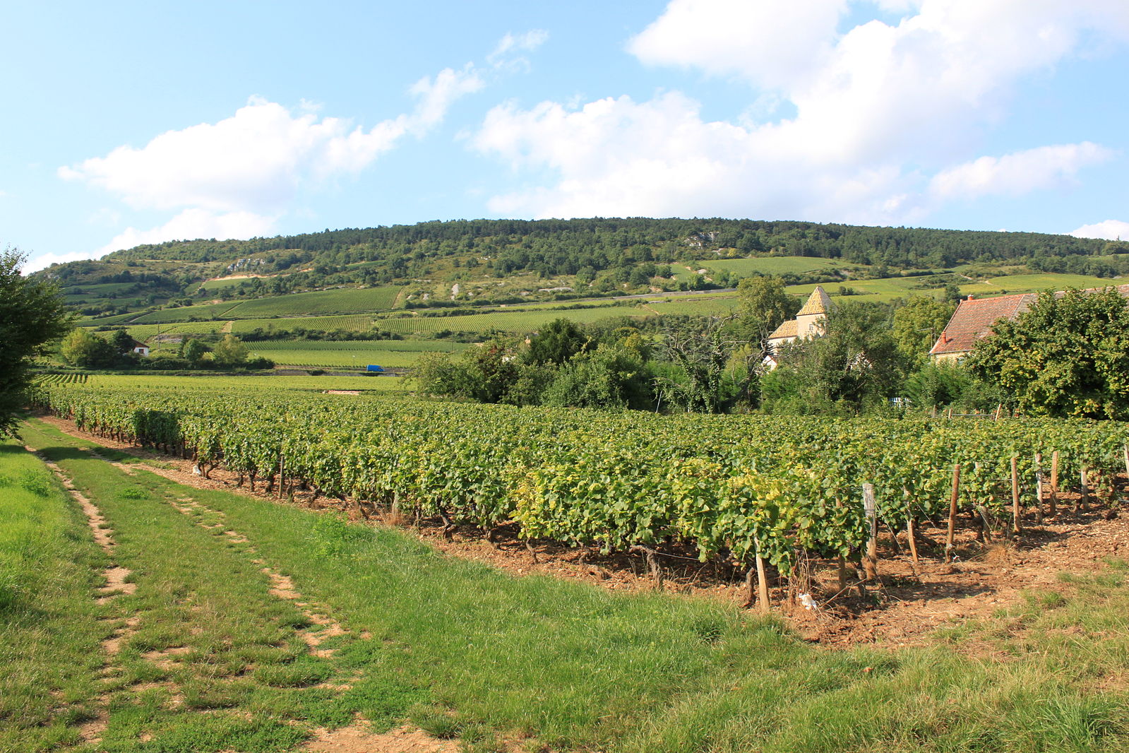 Hotels in Santenay