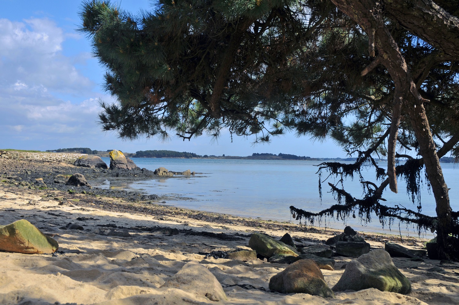Locations de vacances Larmor-Plage