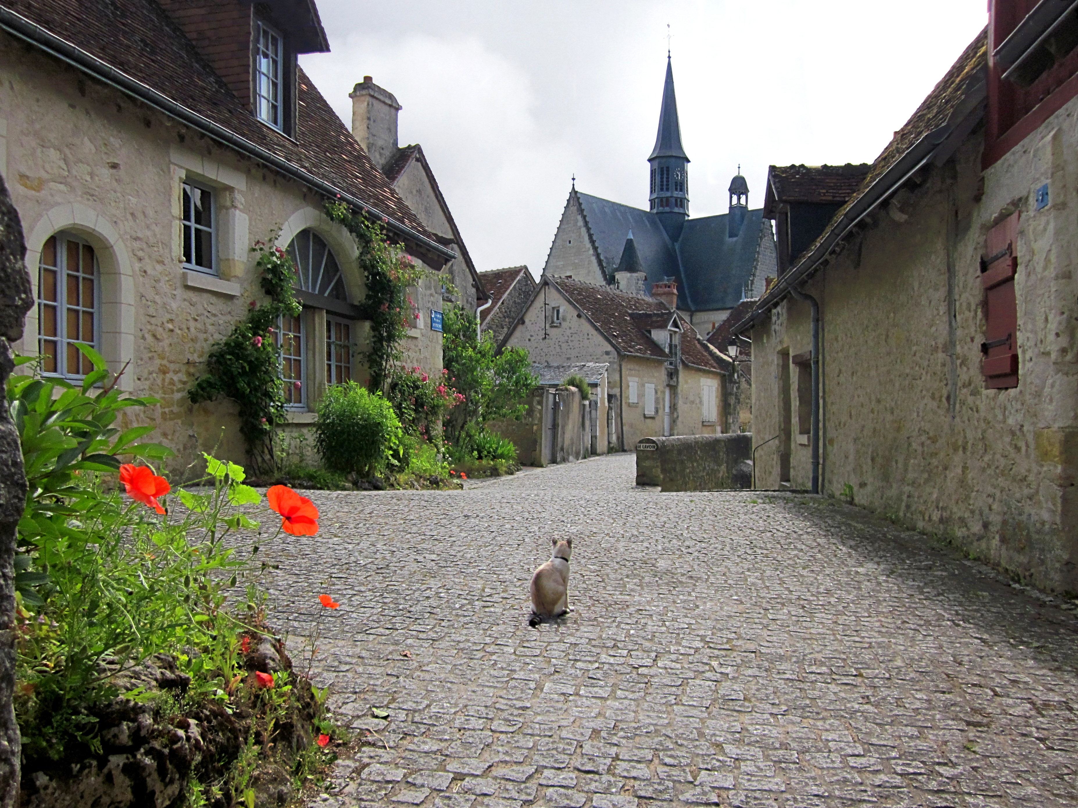 Locations de vacances Moncontour