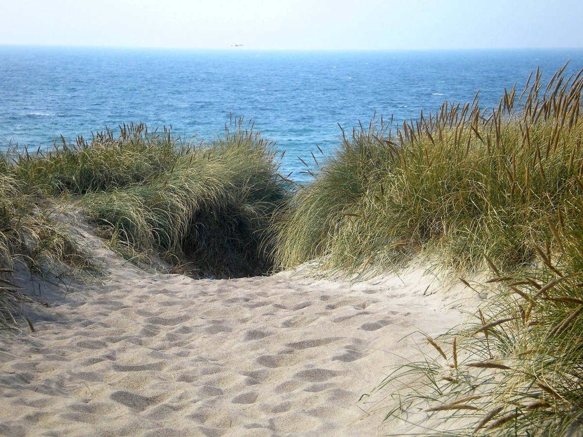 Holiday rentals Mercatel