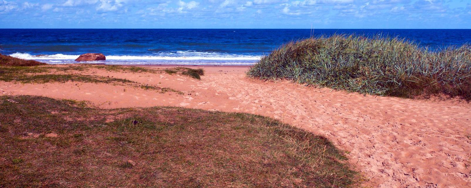 Hotels in La Tranche-sur-Mer