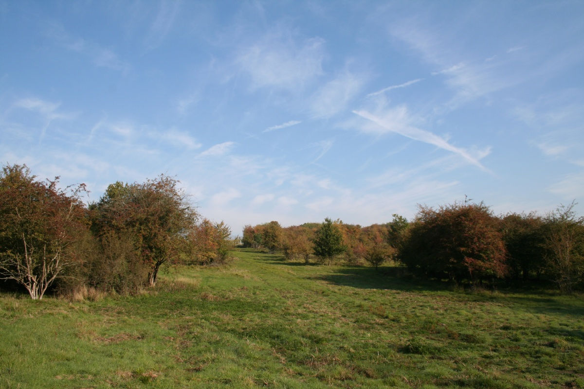 Holiday rentals Dury