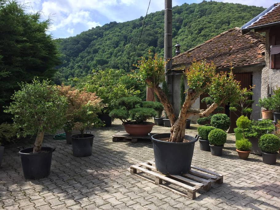 Holiday rentals Charavines