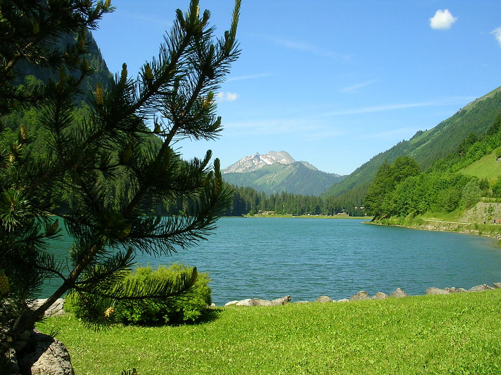 Case Vacanze Lac de Montriond