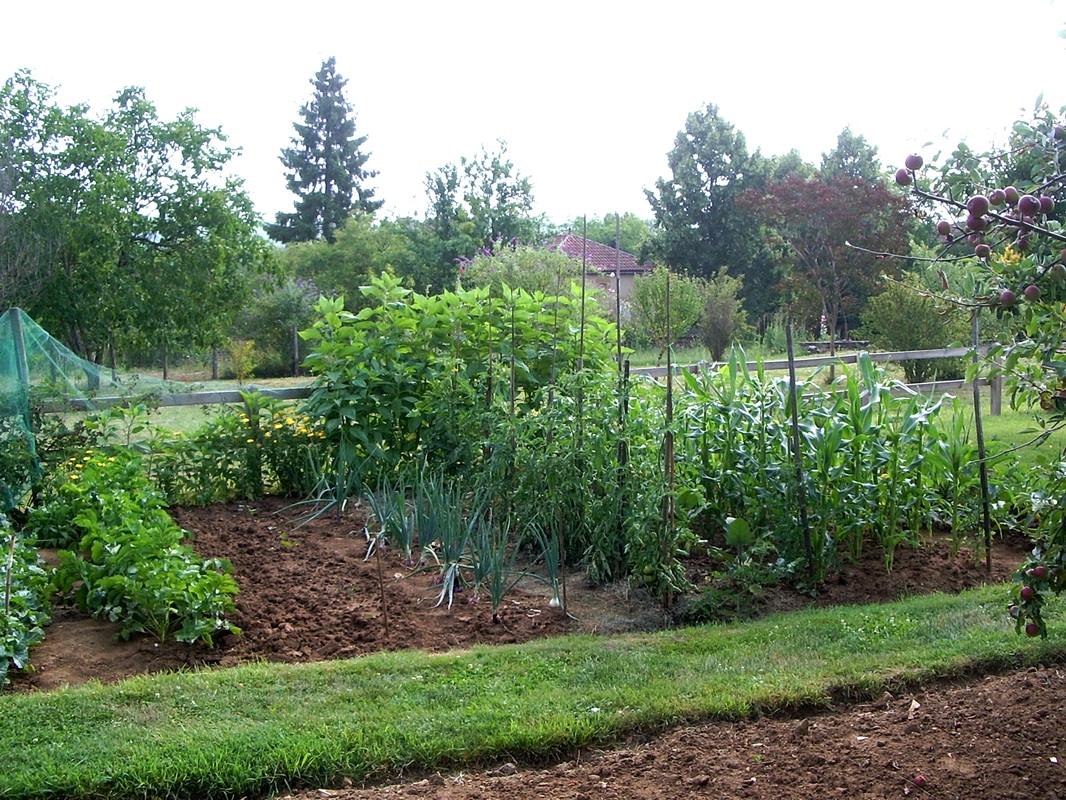 Case Vacanze Le Jardin