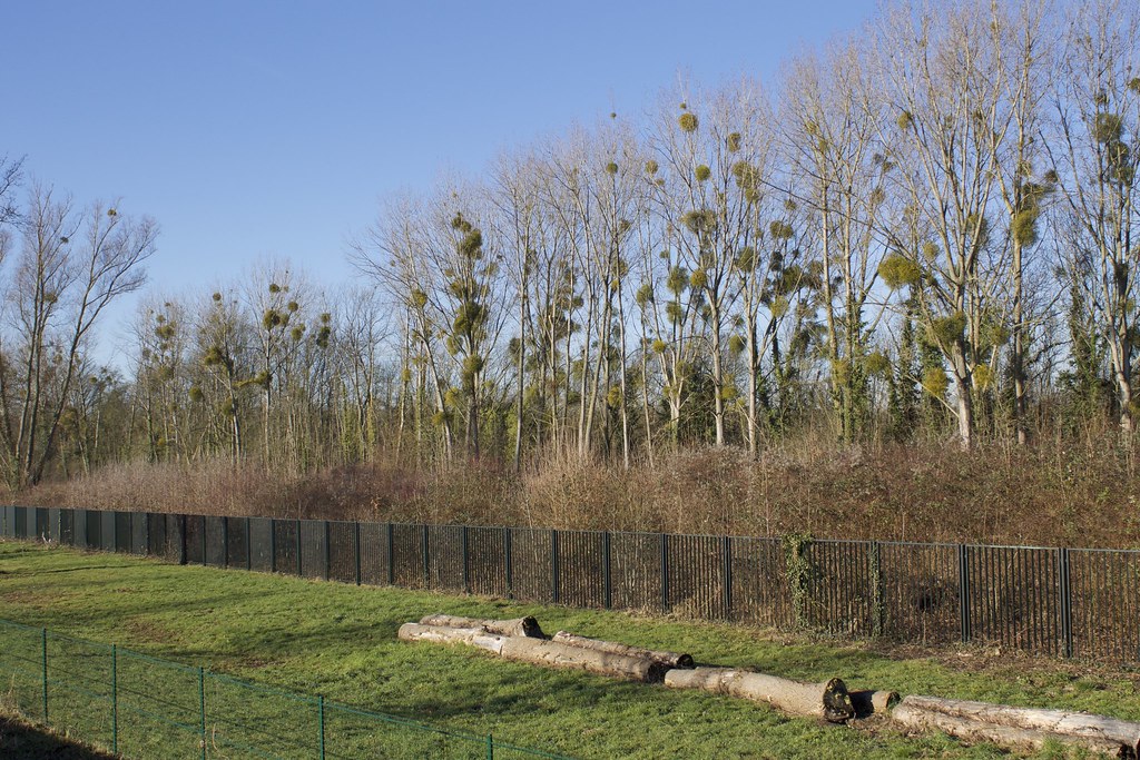 Holiday rentals Parc des Oiseaux