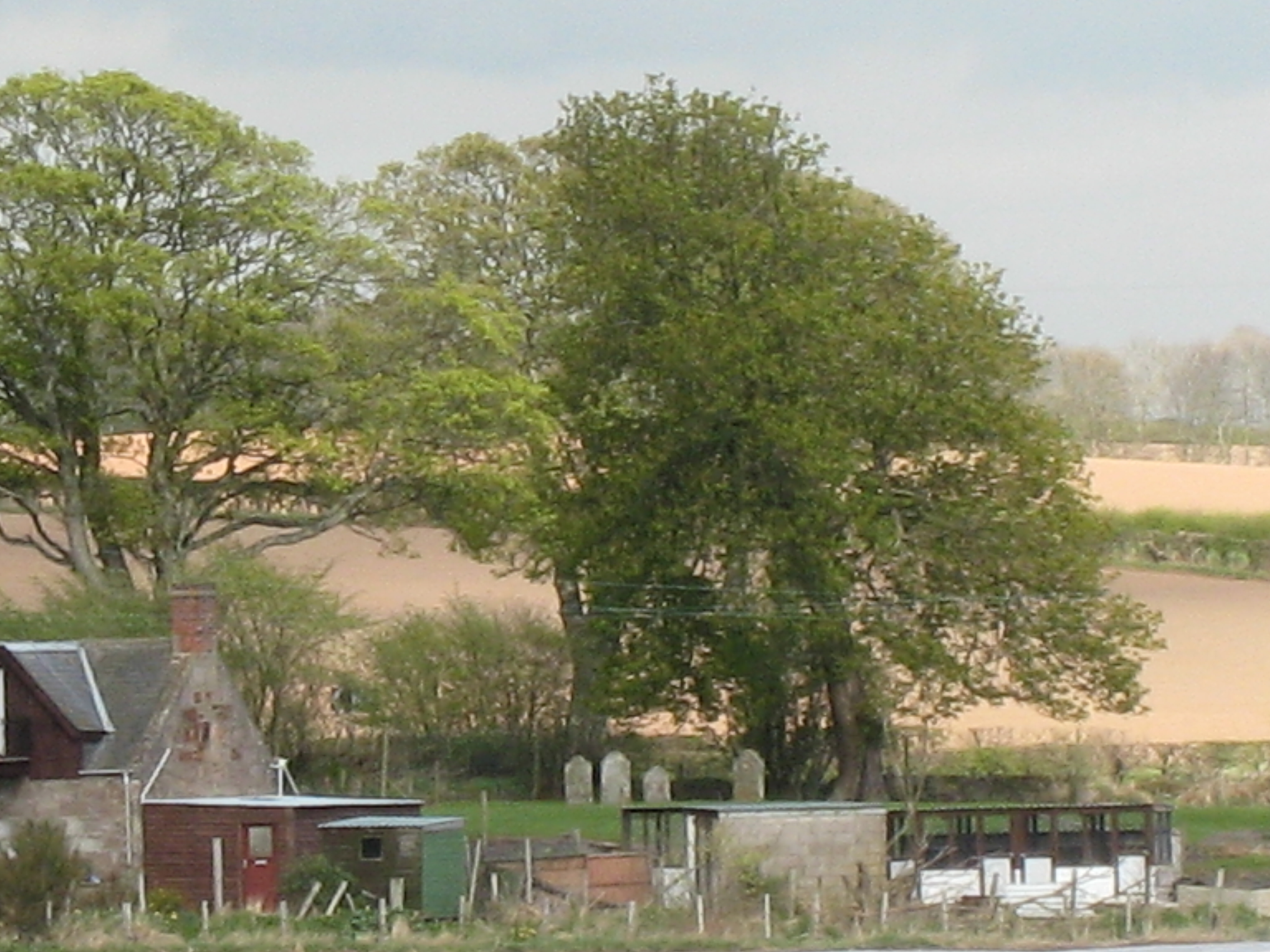 Holiday rentals Brechin
