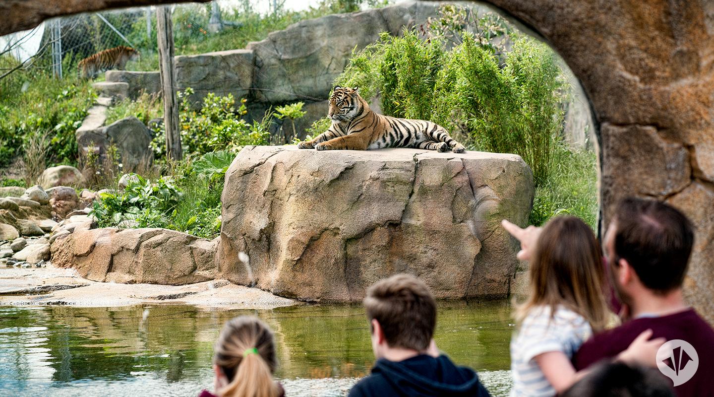 Holiday rentals Chester Zoo