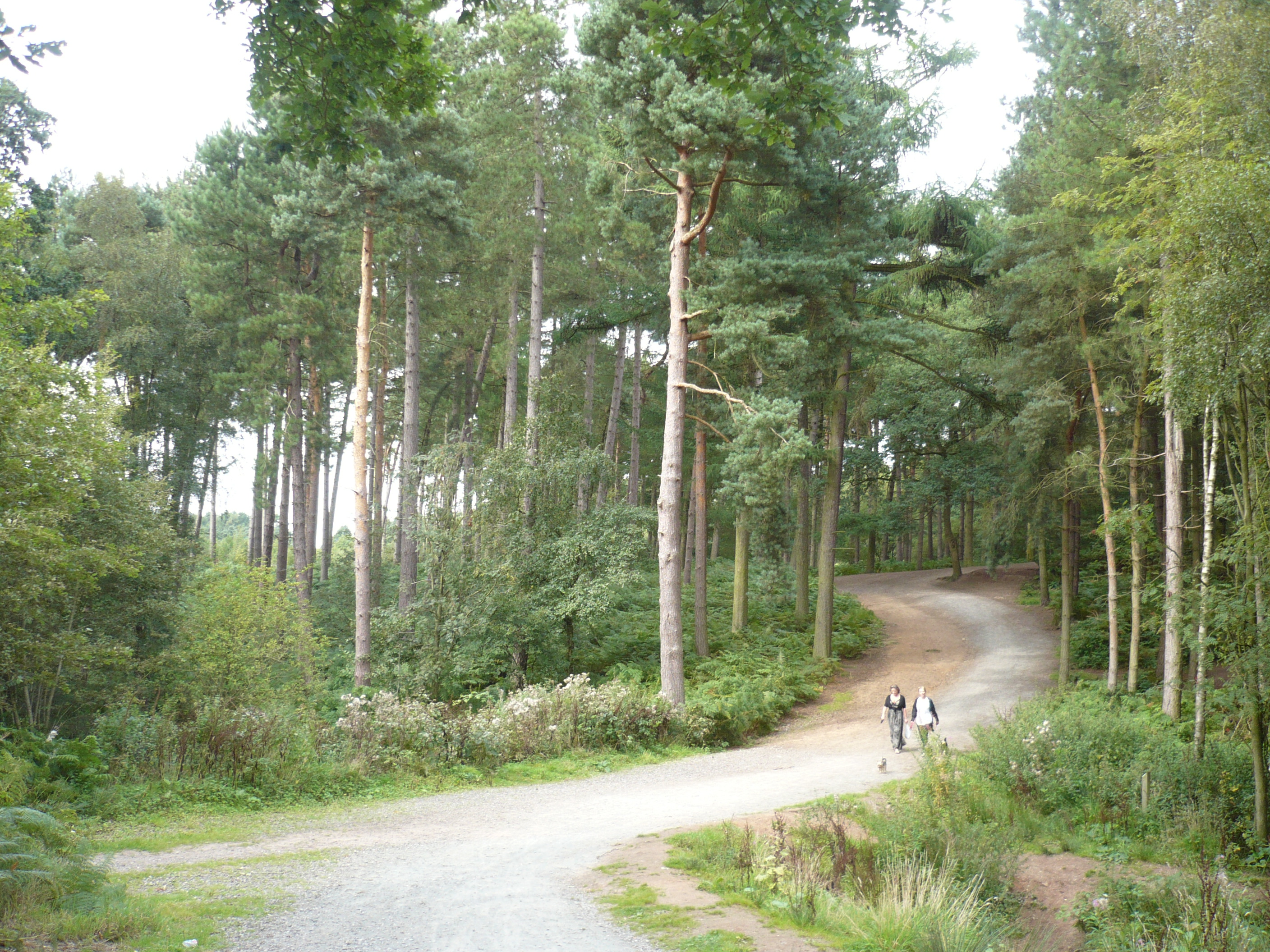 Holiday rentals Delamere Forest