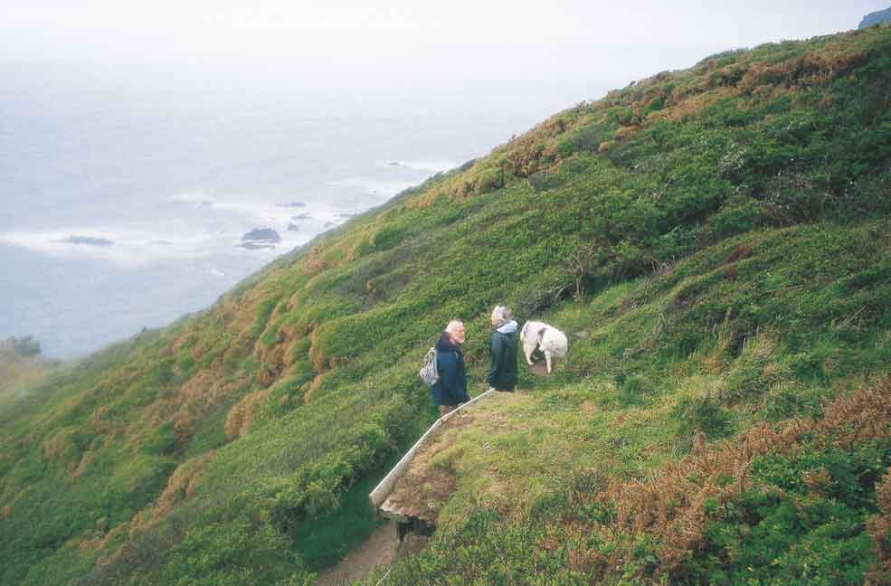 Holiday rentals Morwenstow