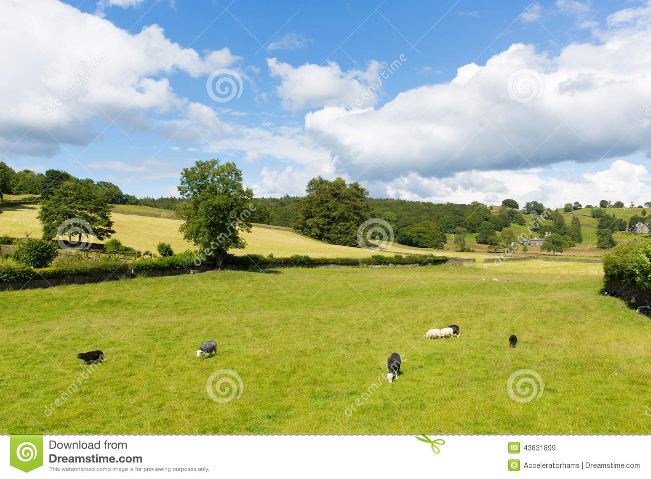 Hotels in Near Sawrey