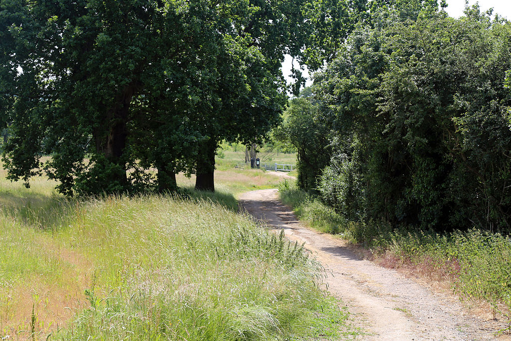 Hotels in Theydon Bois