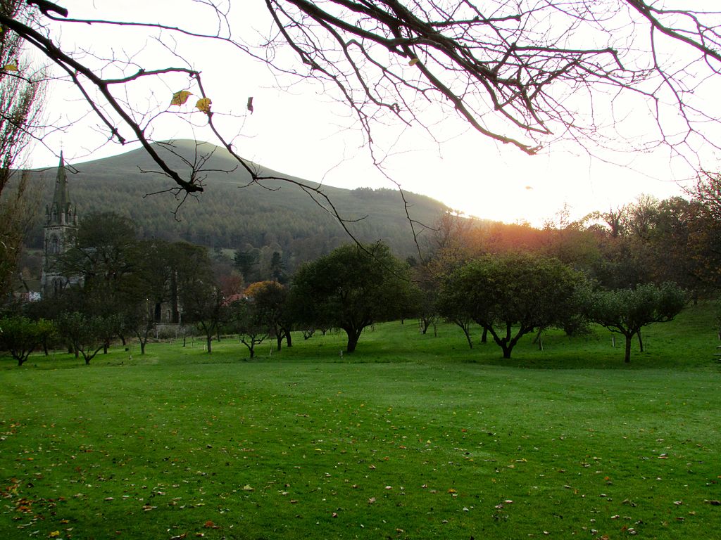 Holiday rentals Falkland