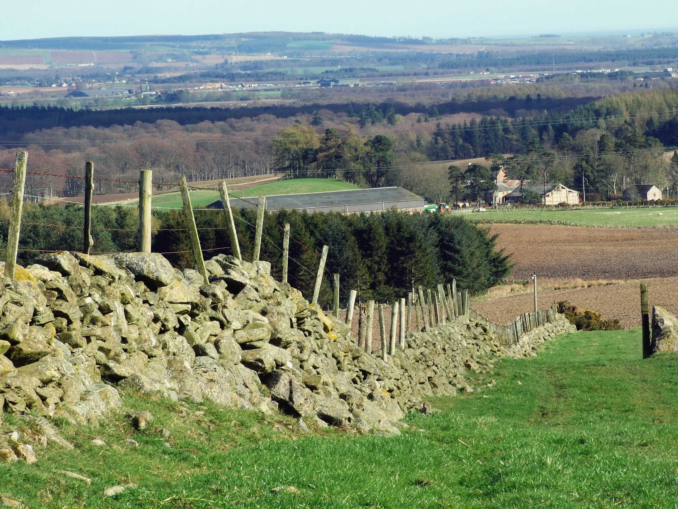 Holiday rentals Edzell
