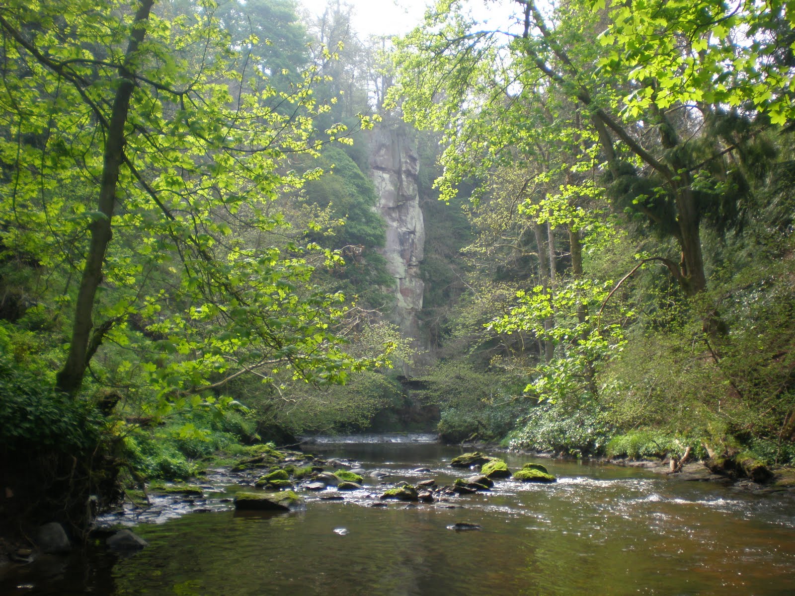 Hotels in Roslin