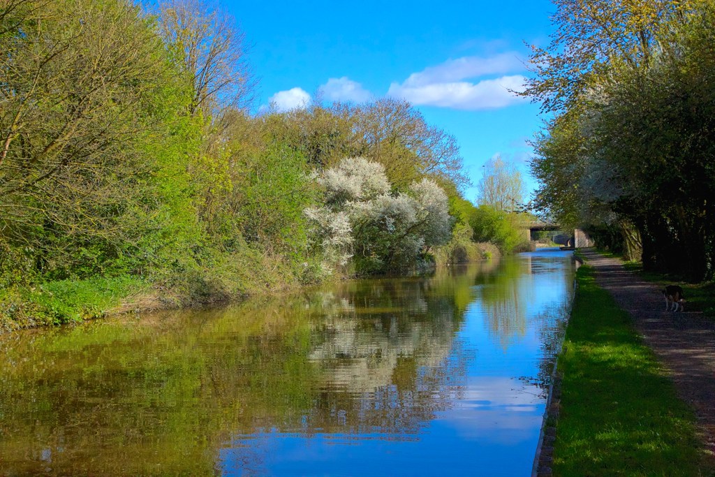 Hotels in Ellesmere